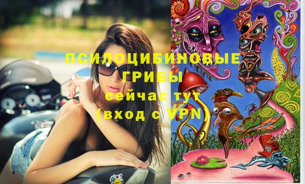 дурь Бугульма