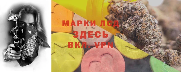 ПСИЛОЦИБИНОВЫЕ ГРИБЫ Бронницы